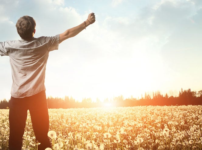5 bienfaits potentiels du CBD 5 5 usages du CBD a connaitre !