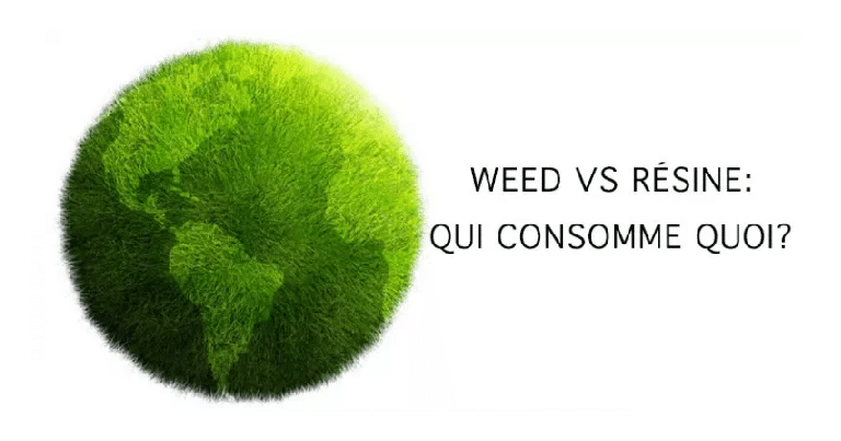 Résine vs. herbe, quel pays consomme quoi ? 6 Résine vs. herbe, quel pays consomme quoi ? 6