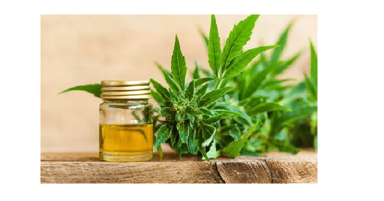 Cannabis bien-être : quels sont les bienfaits de l'huile de cbd? 1 Cannabis bien-être : quels sont les bienfaits de l'huile de cbd? 1