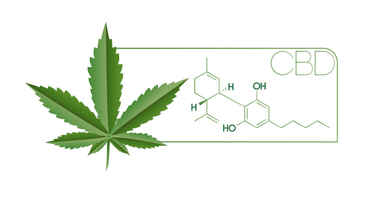 Quelle différence entre CBD et THC ? 4 Quelle différence entre CBD et THC ? 3