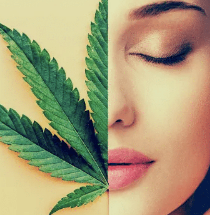 Le cannabidiol contre l’acné : une solution prometteuse? 1 le cannabidiol contre l'acné