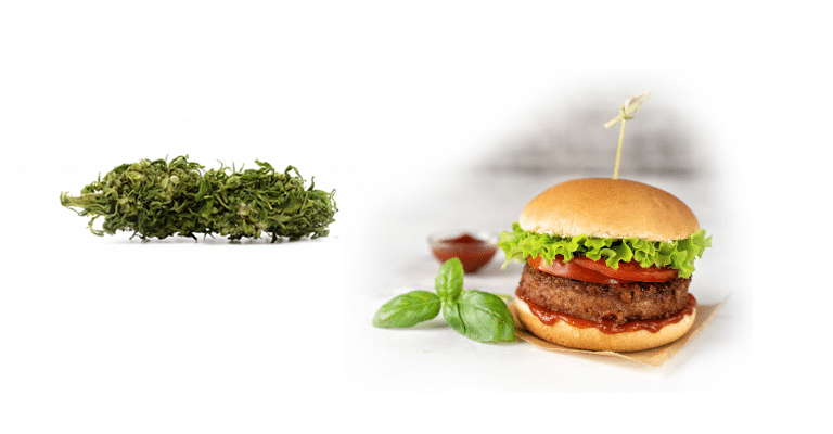 Recette du Burger aux fleurs de CBD 4 Recette du Burger aux fleurs de CBD 3