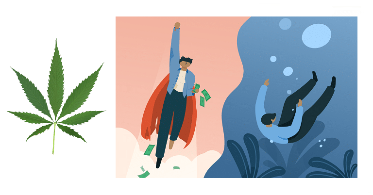 Cannabis médical et troubles bipolaires : interview d'un patient 1 Cannabis médical et troubles bipolaires : interview d'un patient 1