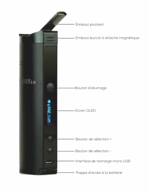 XVape Starry 3.0 XMax 4 XVape Starry 3.0 XMAX