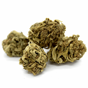 Orange Bud - CBDV Orange Bud - CBDV
