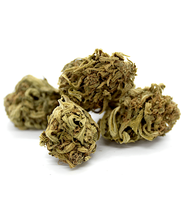 Orange Bud - CBDV Orange Bud - CBDV