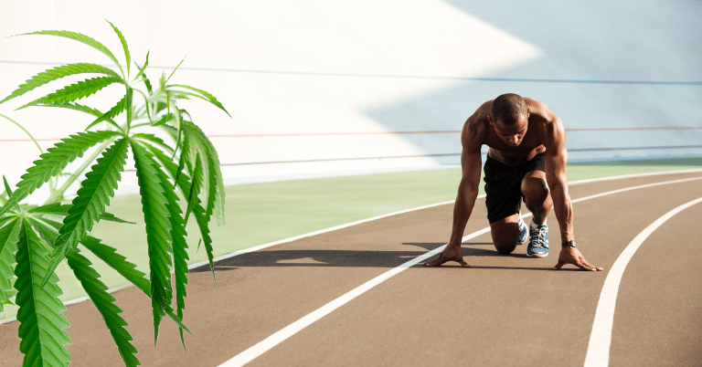 Le CBD chez les sportifs 8 Le CBD chez les sportifs 8