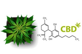 Soulager les symptômes de l'arthrite par le CBD ? 1 Soulager les symptômes de l'arthrite par le CBD ? 1