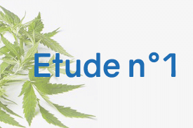 Le CBD peut-il aider les personnes atteintes de fibromyalgie ? 3 Le CBD peut-il aider les personnes atteintes de fibromyalgie ? 3