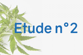 Le CBD peut-il aider les personnes atteintes de fibromyalgie ? 4 Le CBD peut-il aider les personnes atteintes de fibromyalgie ? 4