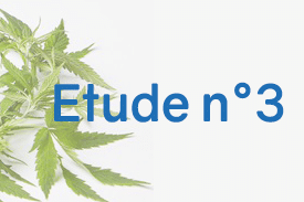 Le CBD peut-il aider les personnes atteintes de fibromyalgie ? 5 Le CBD peut-il aider les personnes atteintes de fibromyalgie ? 5
