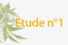 Le CBD peut-il aider à réduire le stress et l'anxiété ? 1 Le CBD peut-il aider à réduire le stress et l'anxiété ? 1
