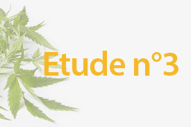 Le CBD peut-il aider à réduire le stress et l'anxiété ? 3 Le CBD peut-il aider à réduire le stress et l'anxiété ? 3