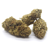 Fleurs CBG_Vue 0 300x300 White CBG (Outdoor)