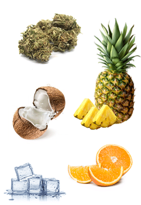 Piña Colada - Cocktail sans alcool au CBD 1 Piña Colada - Cocktail sans alcool au CBD 1