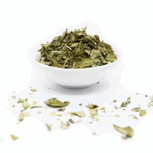 Moringa BIO | Feuilles coupées Moringa BIO | Feuilles coupées