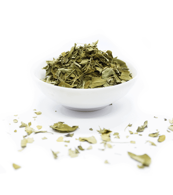 Moringa BIO | Feuilles coupées Moringa BIO | Feuilles coupées
