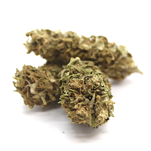 Cassandra Vue0 300x300 Fleur CBD Amnesia - Premium - Indoor | Suisse đšđ