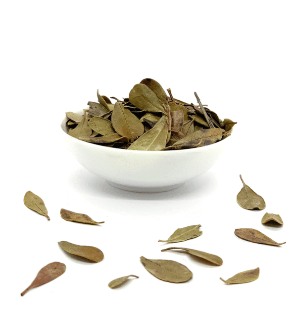 Busserole bio (raisin d'ours) - Feuilles entières pour tisane et infusion Busserole bio (raisin d'ours) - Feuilles entières pour tisane et infusion