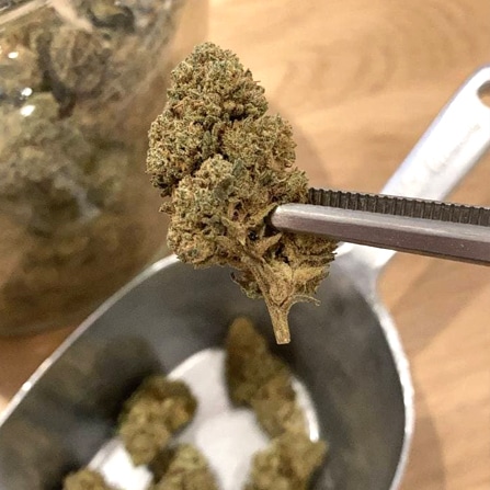 Herborisia - Herboristerie & CBD shop - 75010 Paris 4 Herborisia - Herboristerie | CBD | Plantes médicinales - Fleurs de CBD - 75010 Paris