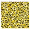 2-MATRICAIRE-Vue 1-800x900 Camomille Matricaire BIO | Fleurs séchées