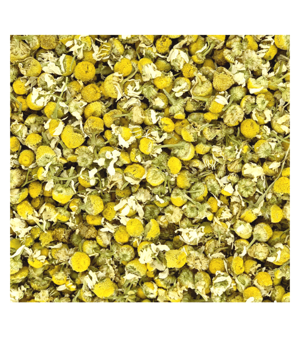 2-MATRICAIRE-Vue 1-800x900 Camomille Matricaire BIO | Fleurs séchées