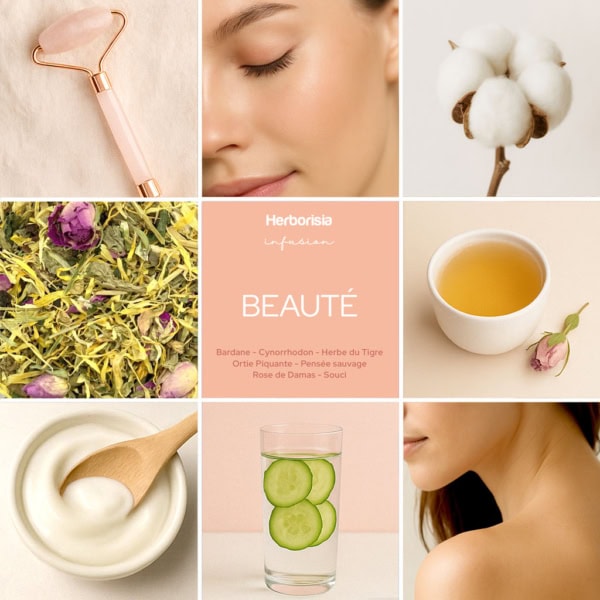 Tisane BEAUTÉ Tisane BEAUTÉ