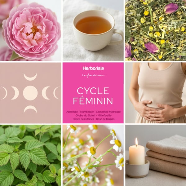 Tisane "Cycle Féminin" | Sphère hormonale Tisane "Cycle Féminin" | Sphère hormonale