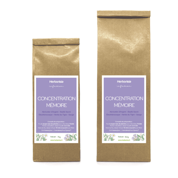 Tisane Concentration Mémoire Tisane Concentration Mémoire
