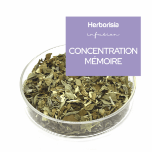 Tisane Concentration Mémoire Tisane Concentration Mémoire