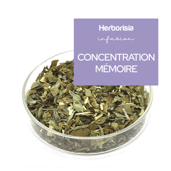 Tisane Concentration Mémoire Tisane Concentration Mémoire