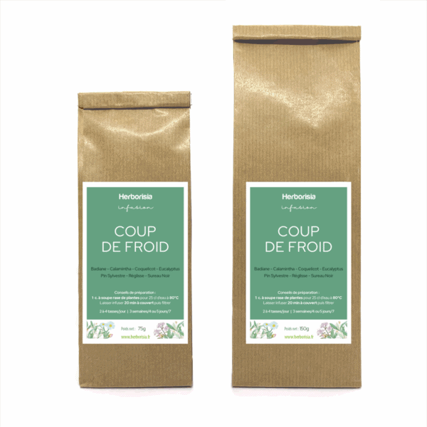 Tisane "Coup de froid" Tisane "Coup de froid"