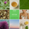 Tisane "Détox" Tisane "Détox"