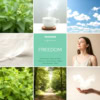 Tisane "Freedom" | Arrêt du tabac Tisane "Freedom" | Arrêt du tabac