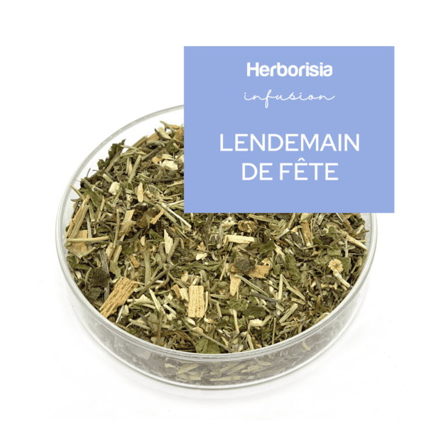 Tisane "Lendemain de Fête" Tisane "Lendemain de Fête"