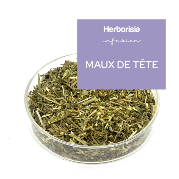 Tisane "Maux de Tête" Tisane "Maux de Tête"