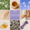 Tisane "Poids Plume" | Minceur Tisane "Poids Plume" | Minceur