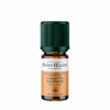Huile Essentielle - Carotte sauvage BIO 5ml Huile Essentielle - Carotte sauvage BIO 5ml
