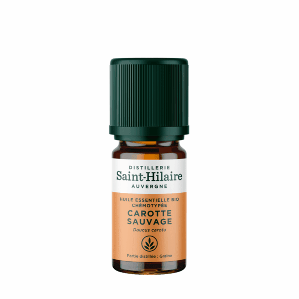 Huile Essentielle - Carotte sauvage BIO 5ml Huile Essentielle - Carotte sauvage BIO 5ml