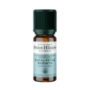 Huile Essentielle - Eucalyptus Radié | Eucalyptus Radiata BIO 10ml Huile Essentielle - Eucalyptus Radié | Eucalyptus Radiata BIO 10ml