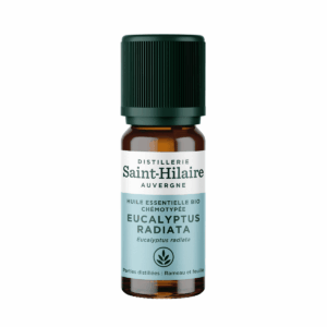 Huile Essentielle - Eucalyptus Radié | Eucalyptus Radiata BIO 10ml Huile Essentielle - Eucalyptus Radié | Eucalyptus Radiata BIO 10ml