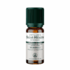 Huile Essentielle - Niaouli BIO 10ml Huile Essentielle - Niaouli BIO 10ml