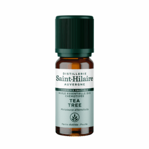 Huile Essentielle - Arbre à thé - Tea Tree BIO Huile Essentielle - Arbre à thé - Tea Tree BIO