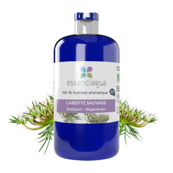 Hydrolat Carotte sauvage bio - Essenciagua Hydrolat Carotte sauvage bio - Essenciagua