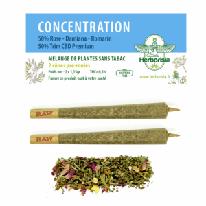 CĂŽne prĂ©-roulĂ© | MĂ©lange de plantes & fleurs CBD âCONCENTRATIONâ - x2 CĂŽne prĂ©-roulĂ© | MĂ©lange de plantes & fleurs CBD âCONCENTRATIONâ - x2