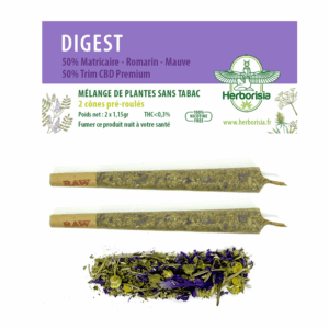 CĂŽne prĂ©-roulĂ© | MĂ©lange de plantes & fleurs CBD âDIGESTâ - x2 CĂŽne prĂ©-roulĂ© | MĂ©lange de plantes & fleurs CBD âDIGESTâ - x2