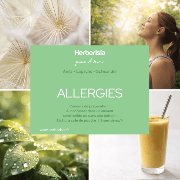 Plantes en poudre "Allergies" Plantes en poudre "Allergies"