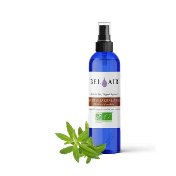 Hydrolat | Eau Florale - Tea Tree - Arbre à Thé bio Hydrolat | Eau Florale - Tea Tree - Arbre à Thé bio