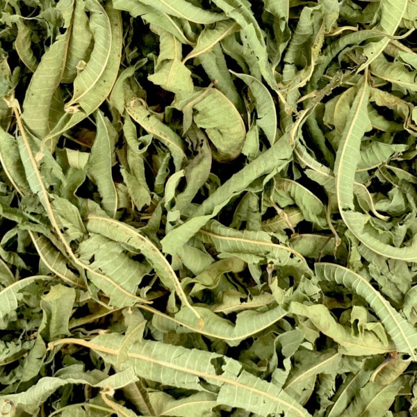 Verveine bio - feuilles entières Verveine bio - feuilles entières