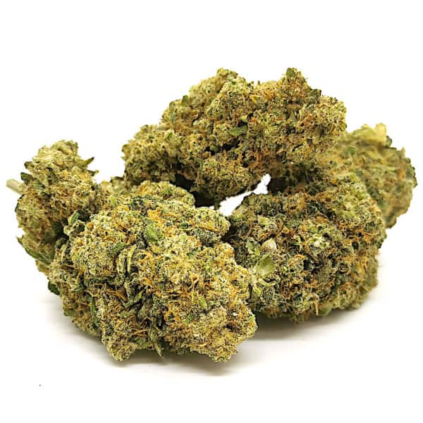 Fleurs CBD - Amnesia Fleurs CBD - Amnesia